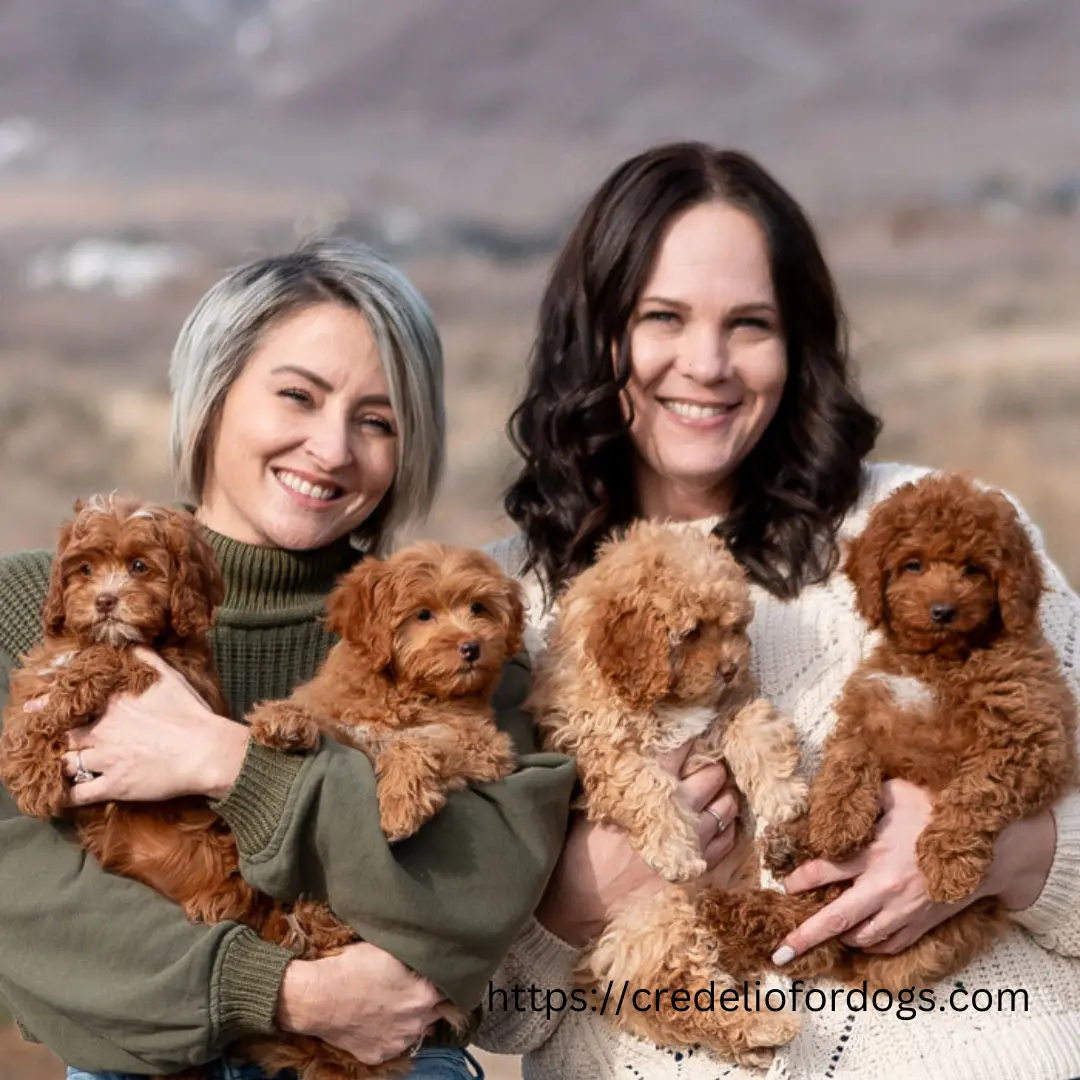 Two women happily embracing fluffy puppies amidst a picturesque outdoor setting.