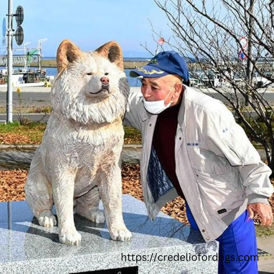 An elderly man gently caresses a dog statue, displaying affection and admiration towards the art piece.