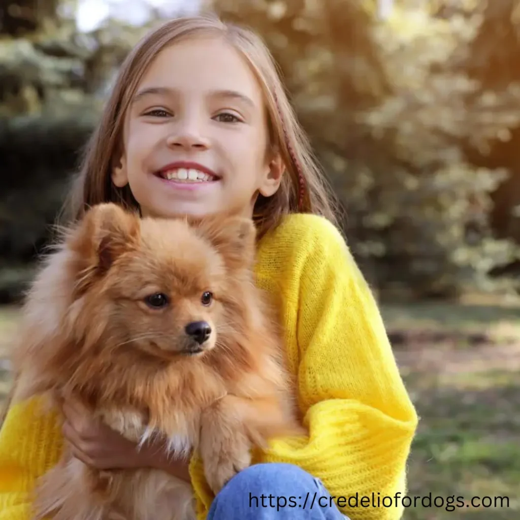 A young girl gently cradling a tiny Pomeranian dog in her arms.