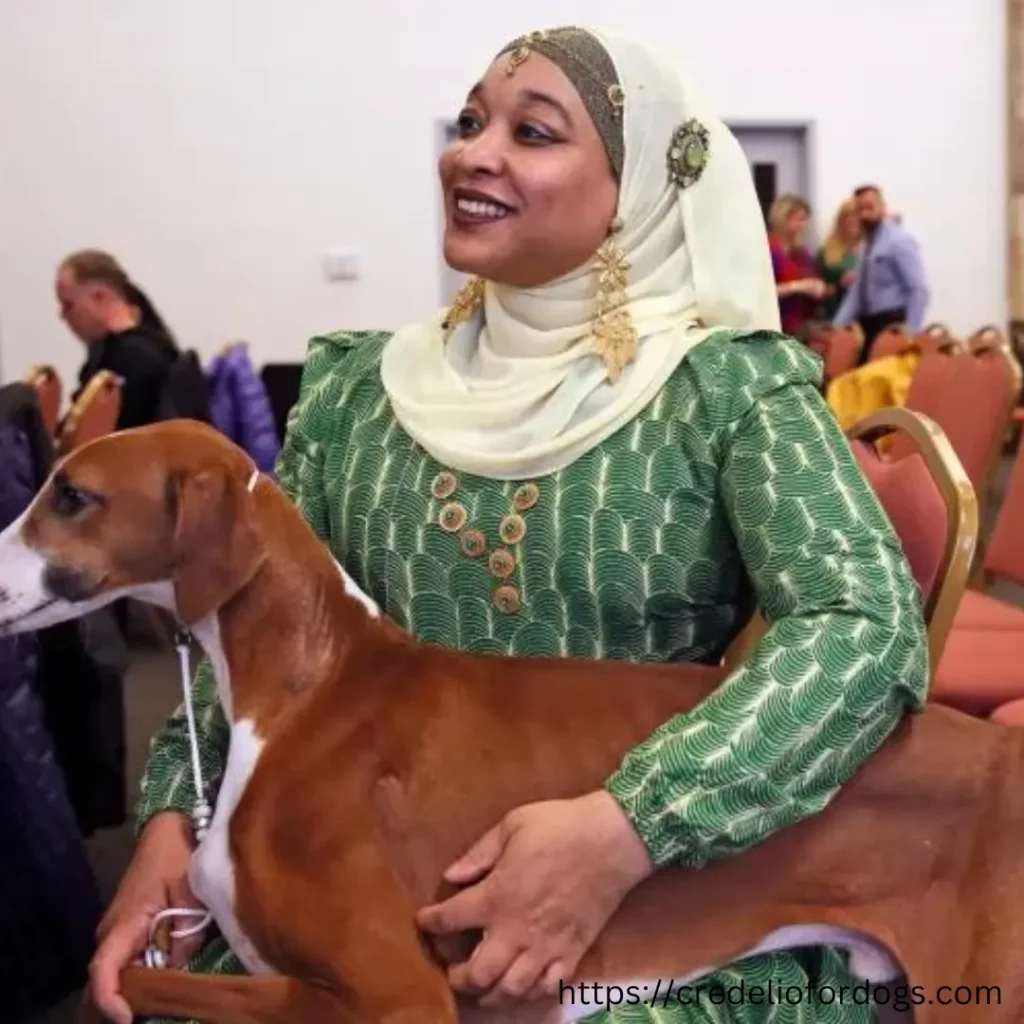 A woman in a green dress holding a small brown and white Azawakh Dog.